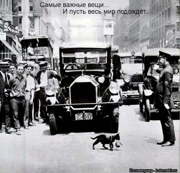Самые важные вещи... И пусть весь мир подождёт...... Котоматрица: Самые важные вещи... И пусть весь мир подождёт...
