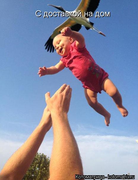 Котоматрица: С доставкой на дом