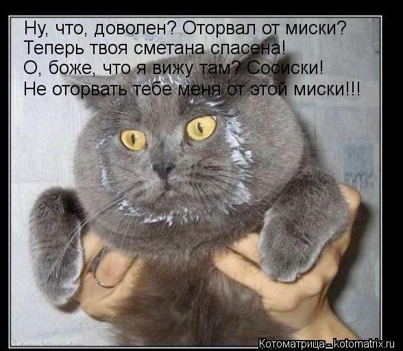 Котоматрица: Ну, что, доволен? Оторвал от миски? Теперь твоя сметана спасена! О, боже, что я вижу там? Сосиски! Не оторвать тебе меня от этой миски!!!