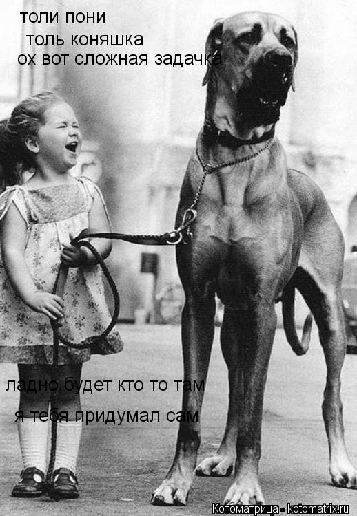 толи пони толь коняшка ох вот сложная задачка ладно будет кто то там я тебя придумал сам... Котоматрица: толи пони толь коняшка ох вот сложная задачка ладно будет кто то там я тебя придумал сам