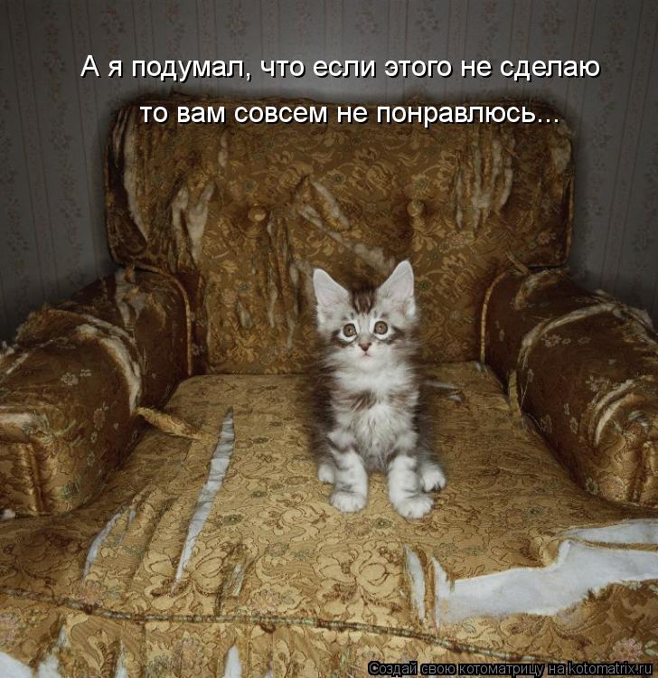 Котоматрица: А я подумал, что если этого не сделаю то вам совсем не понравлюсь...