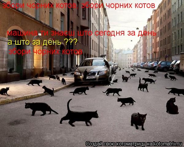 збори чорних котов, збори чорних котов машина ти знаєш што сегодня за день а што за день ??? збори ч... Котоматрица: збори чорних котов, збори чорних котов машина ти знаєш што сегодня за день а што за день ??? збори чорних котов
