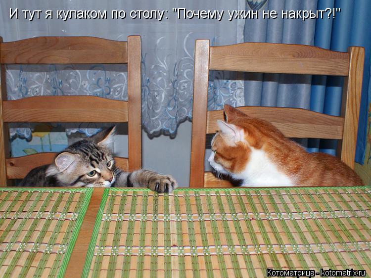 Котоматрица: И тут я кулаком по столу: "Почему ужин не накрыт?!"
