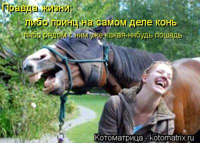 Правда жизни: либо принц на самом деле конь либо рядом с ним уже какая-нибудь лошадь... Котоматрица: Правда жизни: либо принц на самом деле конь либо рядом с ним уже какая-нибудь лошадь