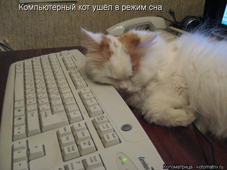Котоматрица: Компьютерный кот ушёл в режим сна