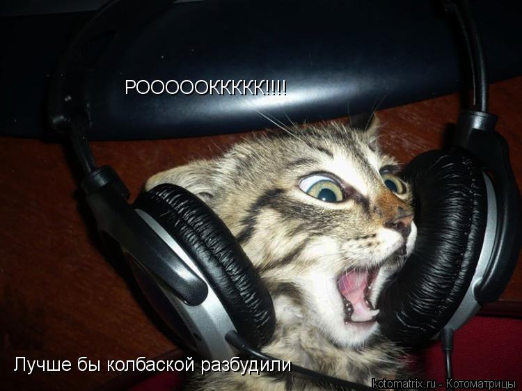РОООООККККК!!!! Лучше бы колбаской разбудили... Котоматрица: РОООООККККК!!!! Лучше бы колбаской разбудили