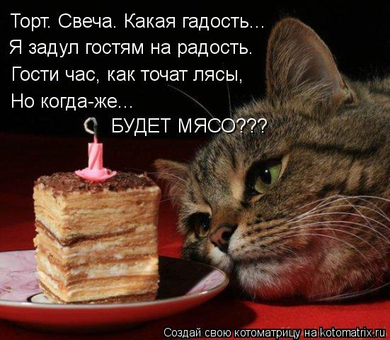 Торт. Свеча. Какая гадость... Я задул гостям на радость. Гости час, как точат лясы, Но когда-же... Б... Котоматрица: Торт. Свеча. Какая гадость... Я задул гостям на радость. Гости час, как точат лясы, Но когда-же... БУДЕТ МЯСО???