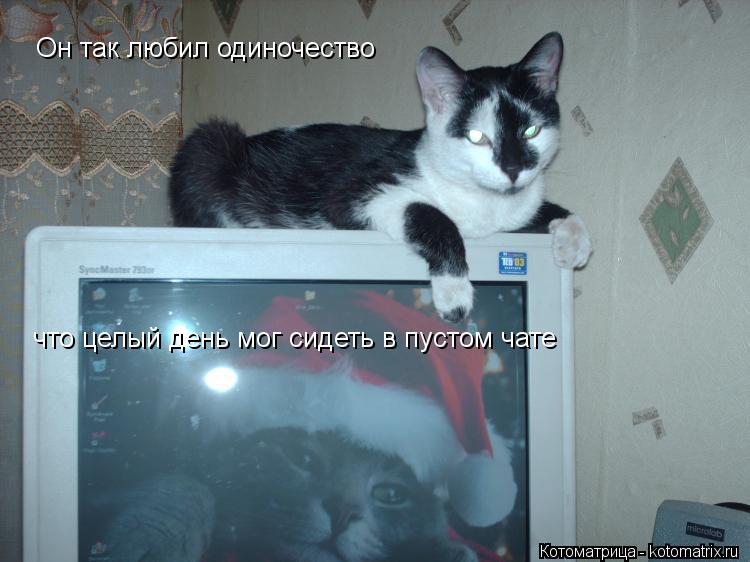 Котоматрица: Он так любил одиночество что целый день мог сидеть в пустом чате