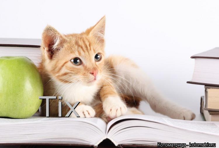 Котоматрица: Tix