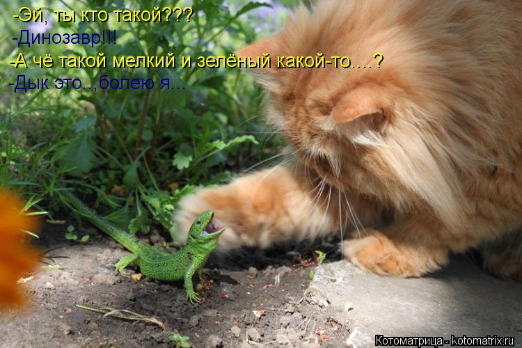 Котоматрица: -Эй, ты кто такой??? -Динозавр!!! -А чё такой мелкий и зелёный какой-то....? -Дык это..,болею я...
