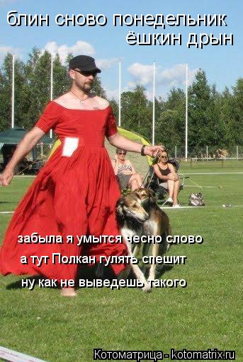 блин сново понедельник ёшкин дрын забыла я умытся чесно слово а тут Полкан гулять спешит ну как не вы... Котоматрица: блин сново понедельник ёшкин дрын забыла я умытся чесно слово а тут Полкан гулять спешит ну как не выведешь такого