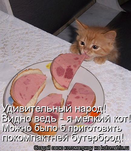 Котоматрица: Видно ведь - я мелкий кот! Можно было б приготовить покомпактней бутерброд! Удивительный народ!