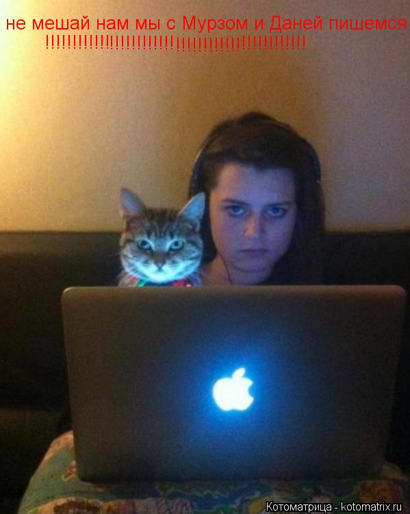 Котоматрица: не мешай нам мы с Мурзом и Даней пишемся !!!!!!!!!!!! !!!!!!!!!!!! !!!!!!!!!!!! !!!!!!!!!!!!