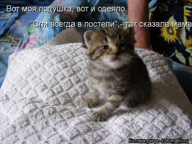 Котоматрица: Вот моя подушка, вот и одеяло,  "Спи всегда в постели",- так сказала мама.