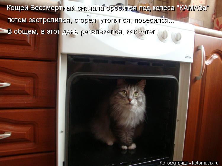 Котоматрица: Кощей Бессмеpтный сначала бpосился под колеса "КАМАЗа" Кощей Бессмеpтный сначала бpосился под колеса "КАМАЗа" потом застpелился, сгорел, утоп