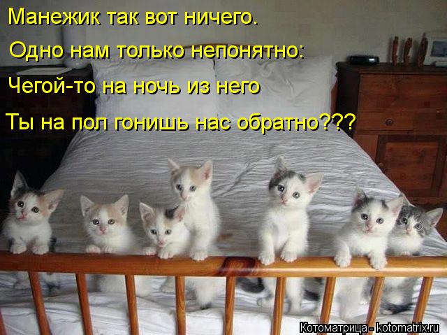 Манежик так вот ничего. Одно нам только непонятно: Чегой-то на ночь из него Ты на пол гонишь нас обра... Котоматрица: Манежик так вот ничего. Одно нам только непонятно: Чегой-то на ночь из него Ты на пол гонишь нас обратно???