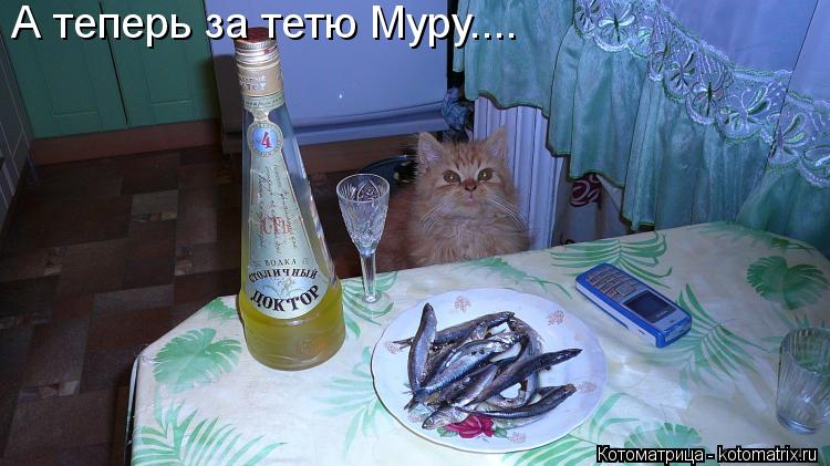 Котоматрица: А теперь за тетю Муру....