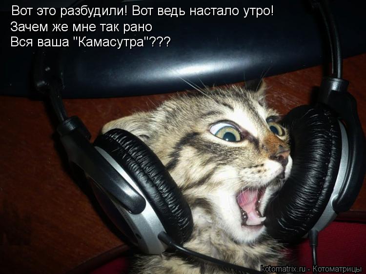 Котоматрица: Вот это разбудили! Вот ведь настало утро! Зачем же мне так рано Вся ваша "Камасутра"???
