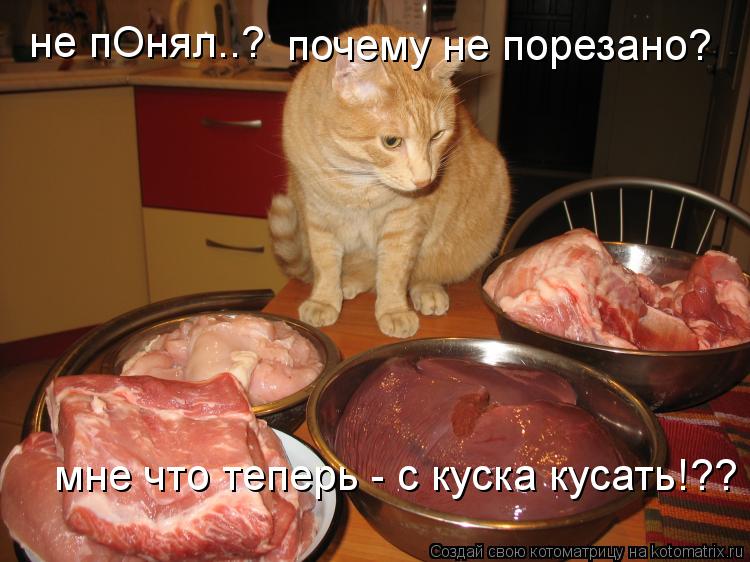Котоматрица: не пОнял..? почему не порезано? мне что теперь - с куска кусать!??