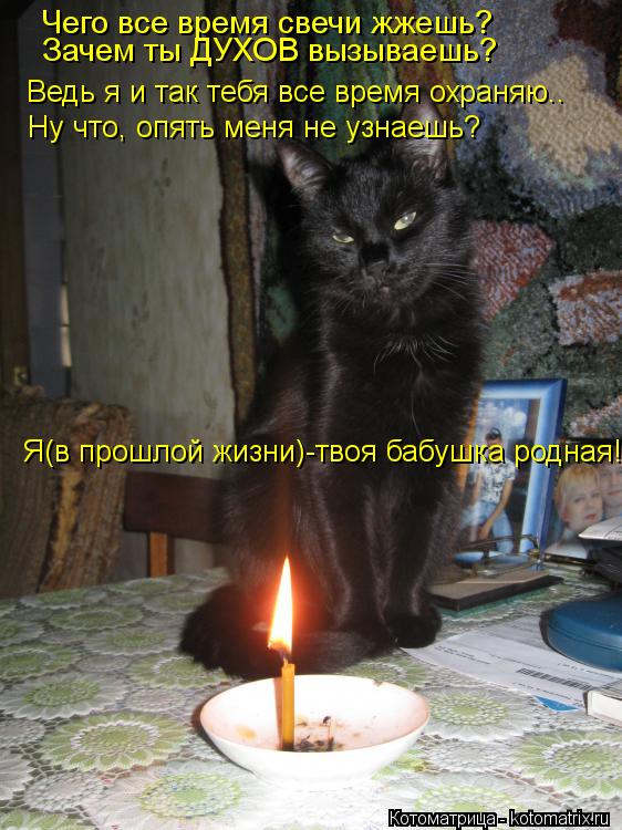 Котоматрица: Чего все время свечи жжешь? Зачем ты ДУХОВ вызываешь? Ведь я и так тебя все время охраняю.. Ну что, опять меня не узнаешь? Я(в прошлой жизни)-тв