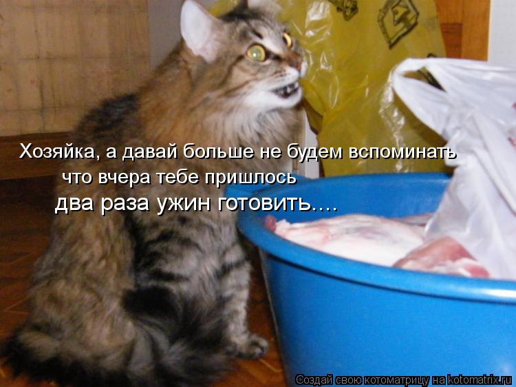 Котоматрица: Хозяйка, а давай больше не будем вспоминать что вчера тебе пришлось  два раза ужин готовить....