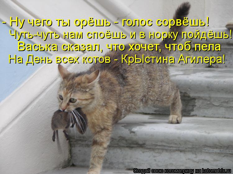 - Ну чего ты орёшь - голос сорвёшь! Чуть-чуть нам споёшь и в норку пойдёшь! Васька сказал, что хочет,... Котоматрица: - Ну чего ты орёшь - голос сорвёшь! Чуть-чуть нам споёшь и в норку пойдёшь! Васька сказал, что хочет, чтоб пела На День всех котов - КрЫстина Аги