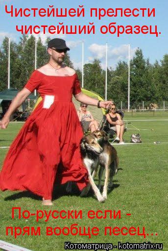 Котоматрица: Чистейшей прелести  чистейший образец. По-русски если - прям вообще песец...