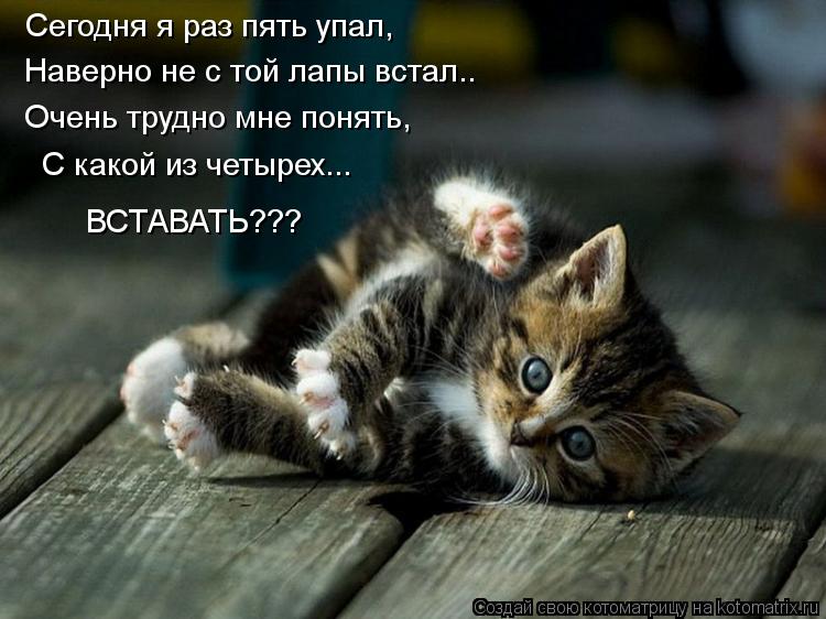 Сегодня я раз пять упал, Наверно не с той лапы встал.. Очень трудно мне понять, С какой из четырех...... Котоматрица: Сегодня я раз пять упал, Наверно не с той лапы встал.. Очень трудно мне понять, С какой из четырех... ВСТАВАТЬ???