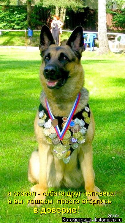 я сказал - собака друг человека! а вы, кошары, просто втёрлись в доверие!... Котоматрица: я сказал - собака друг человека! а вы, кошары, просто втёрлись в доверие!