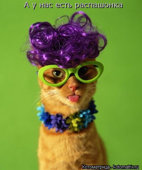 Котоматрица: А у нас есть распашонка