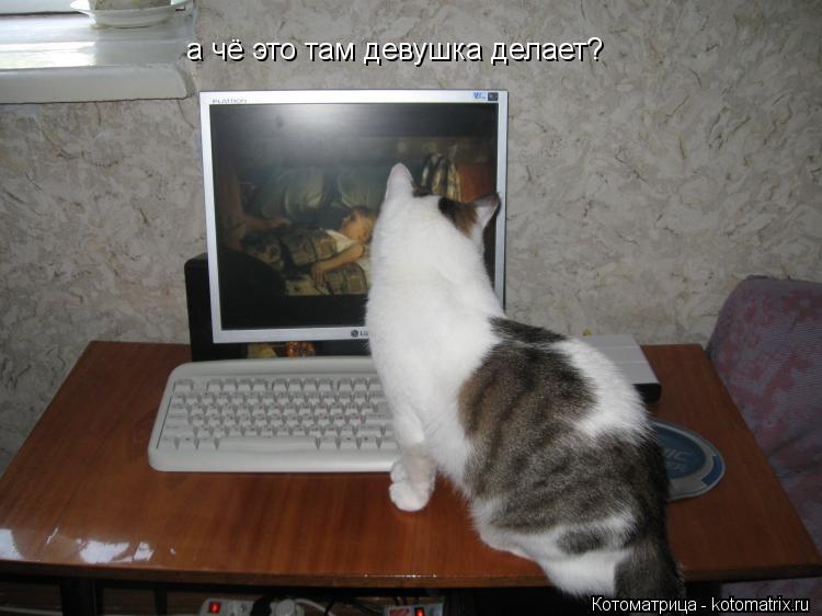 Котоматрица: а чё это там девушка делает?