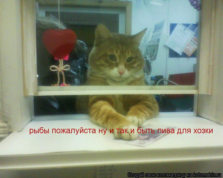 Котоматрица: рыбы пожалуйста ну и так и быть пива для хозки