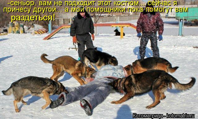 -сеньор, вам не подходит этот костюм... сейчас я принесу другой... а мои помощники пока помогут вам ... Котоматрица: -сеньор, вам не подходит этот костюм... сейчас я принесу другой... а мои помощники пока помогут вам раздеться!