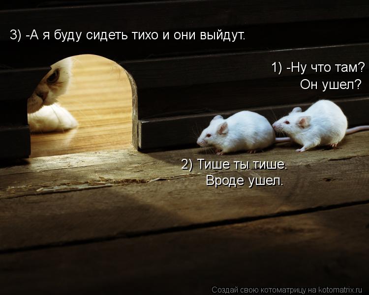 Котоматрица: Он ушел? 1) -Ну что там? 3) -А я буду сидеть тихо и они выйдут.  2) Тише ты тише. Вроде ушел.