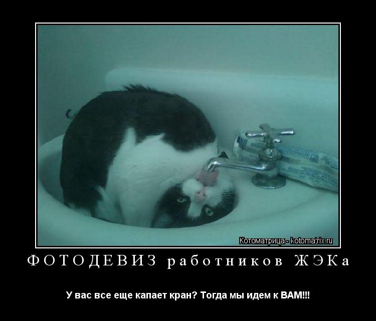 Котоматрица: ФОТОДЕВИЗ работников ЖЭКа У вас все еще капает кран? Тогда мы идем к ВАМ!!!