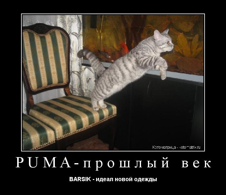PUMA-прошлый век BARSIK - идеал новой одежды... Котоматрица: PUMA-прошлый век BARSIK - идеал новой одежды