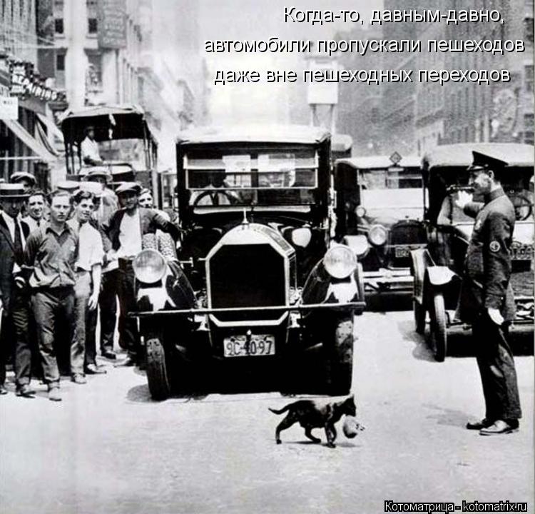 Когда-то, давным-давно, автомобили пропускали пешеходов даже вне пешеходных переходов... Котоматрица: Когда-то, давным-давно, автомобили пропускали пешеходов даже вне пешеходных переходов