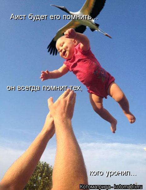 Аист будет его помнить... он всегда помнит тех, кого уронил...... Котоматрица: Аист будет его помнить... он всегда помнит тех, кого уронил...