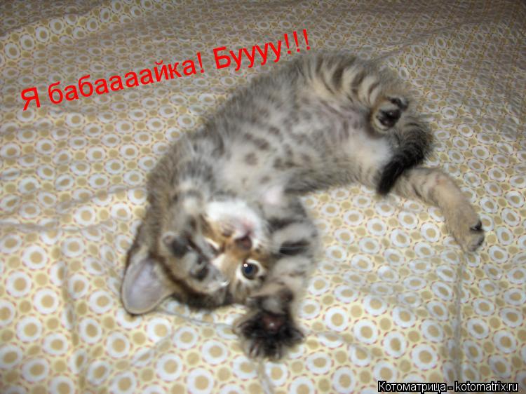 Котоматрица: Я бабаааайка! Буууу!!!