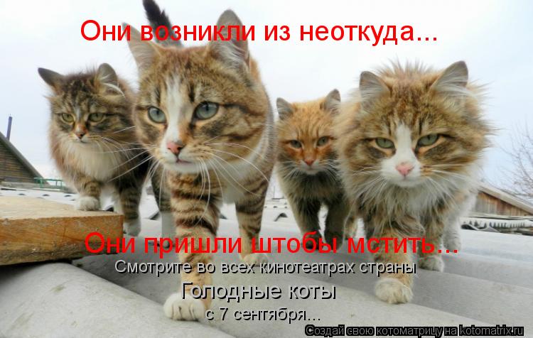 Котоматрица: Они возникли из неоткуда... Они пришли штобы мстить... Смотрите во всех кинотеатрах страны Голодные коты  с 7 сентября...