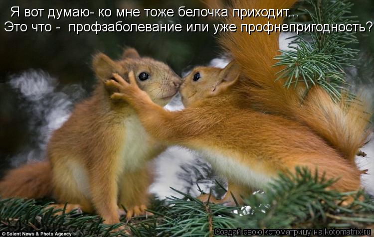 Я вот думаю- ко мне тоже белочка приходит... Это что - профзаболевание или уже профнепригодность?!... Котоматрица: Я вот думаю- ко мне тоже белочка приходит... Это что - профзаболевание или уже профнепригодность?!
