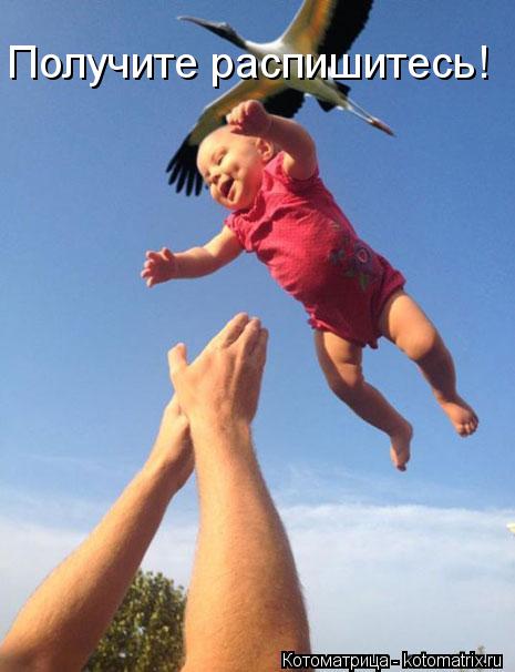 Получите распишитесь!... Котоматрица: Получите распишитесь!