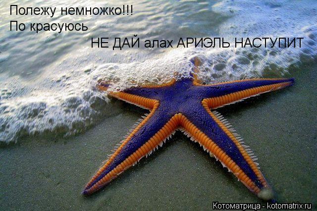 Полежу немножко!!! По красуюсь НЕ ДАЙ алах АРИЭЛЬ НАСТУПИТ... Котоматрица: Полежу немножко!!! По красуюсь НЕ ДАЙ алах АРИЭЛЬ НАСТУПИТ