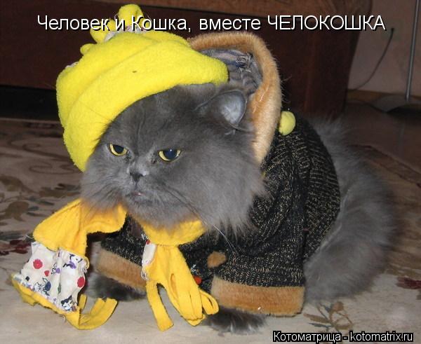 Человек и Кошка, вместе ЧЕЛОКОШКА... Котоматрица: Человек и Кошка, вместе ЧЕЛОКОШКА