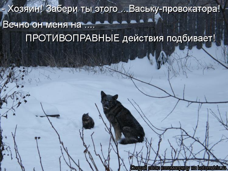 Котоматрица: - Хозяин! Забери ты этого ...Ваську-провокатора! Вечно он меня на .... ПРОТИВОПРАВНЫЕ действия подбивает!