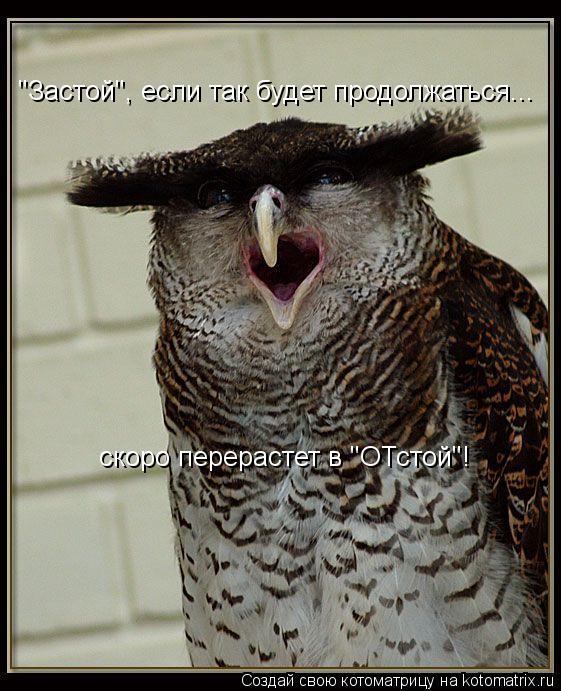 Котоматрица: "Застой", если так будет продолжаться... скоро перерастет в "ОТстой"!
