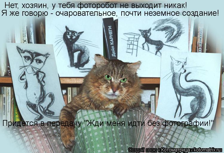 Нет, хозяин, у тебя фоторобот не выходит никак! Я же говорю - очаровательное, почти неземное создание... Котоматрица: Нет, хозяин, у тебя фоторобот не выходит никак! Я же говорю - очаровательное, почти неземное создание! Придется в передачу "Жди меня идти без