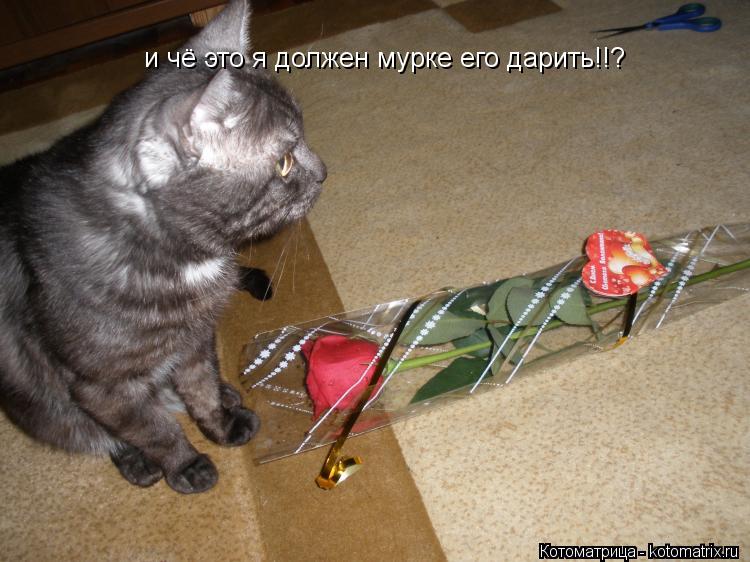 Котоматрица: и чё это я должен мурке его дарить!!?