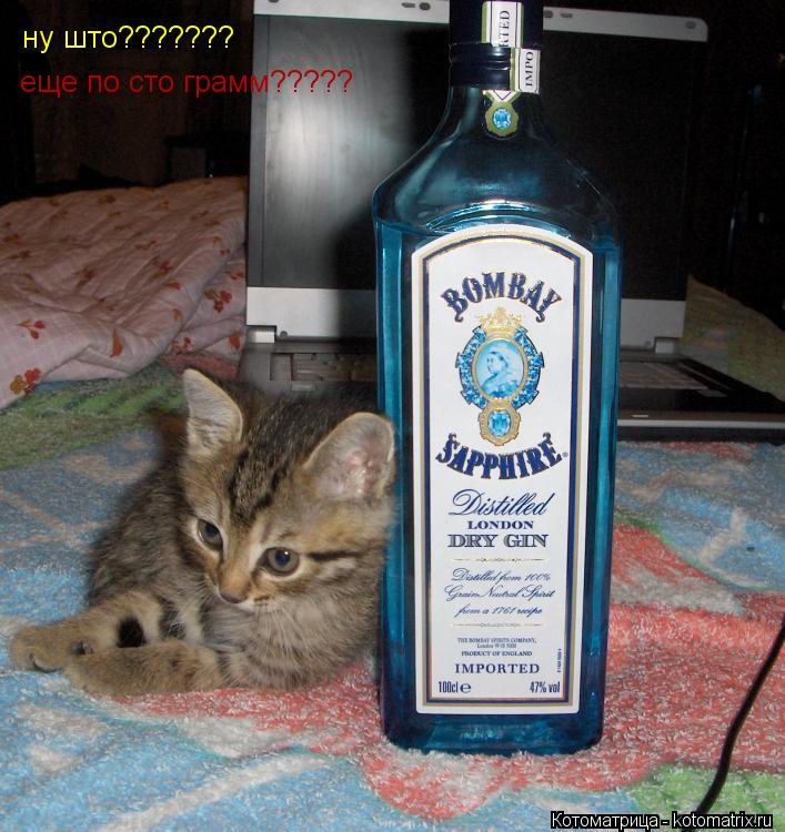 Котоматрица: ну што??????? еще по сто грамм?????