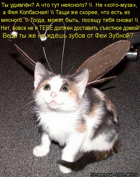 Котоматрица: Ты удивлён? А что тут неясного? \\  Не «кото-муза»,  а Фея Колбасная! \\ Тащи же скорее, что есть из  мясного. \\ Тогда, может быть, посещу тебя снов